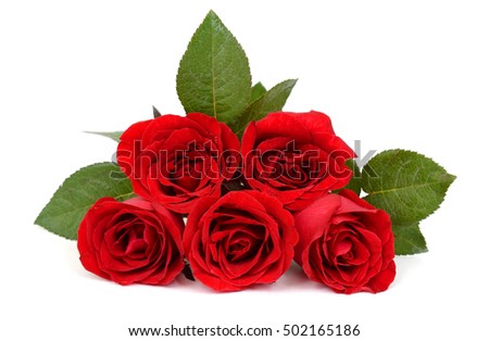 beautiful bouquet of red rose flower isolated on white background
