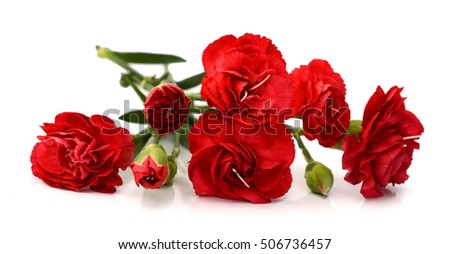 Bouquet of red roses closeup isolated on white background