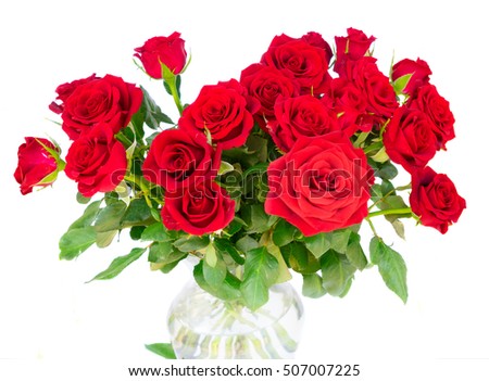 Bright red rose buds with green leaves isolated on white background