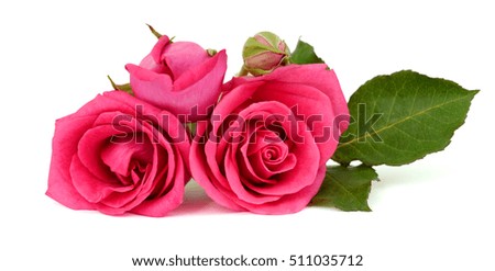 beautiful bouquet of red rose flower isolated on white background
