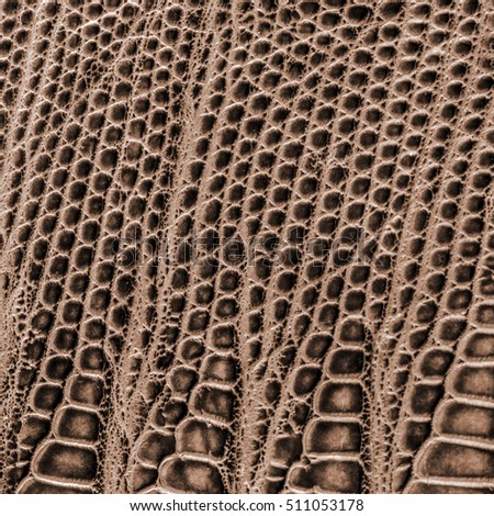 brown artificial snake skin texture closeup, Useful for background