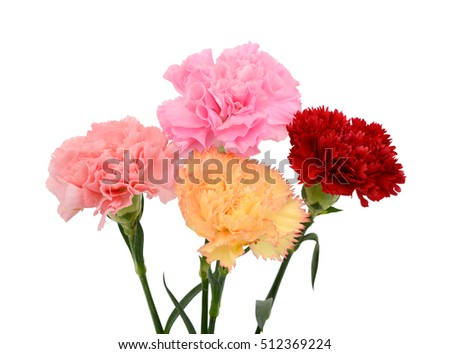 Beautiful bouquet of carnation flowers isolated on white background