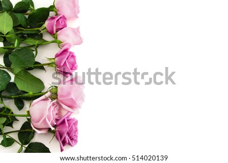 Seven pink and blush isolated roses.