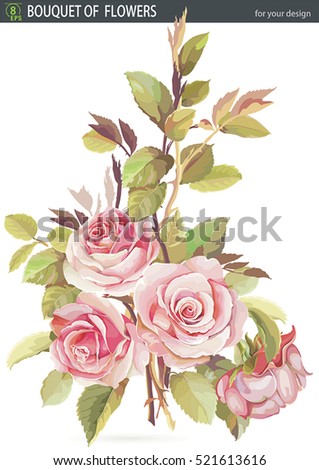 Beautiful Big Roses Bouquet. Hand drawn watercolor flowers. Isolated on white background. No transparency, shadows and not auto-traced, eps8