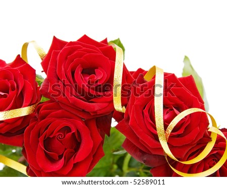 Festive border with beautiful red roses and golden ribbons. Isolated over white background with room for your text.