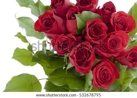 Large group of red roses 