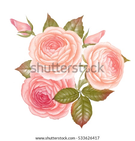 Romantic rose bouquet. Pink roses in watercolor. summer flowers bouquet for Valentine's Day, wedding, sales and other events painted in watercolor style
