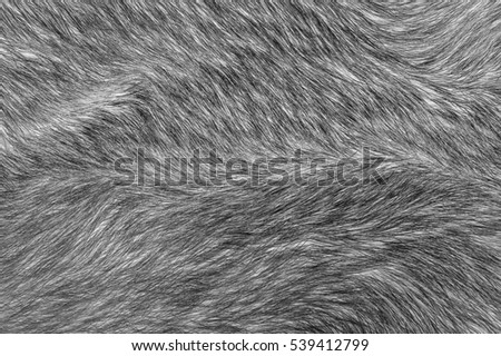 black and white wool texture background