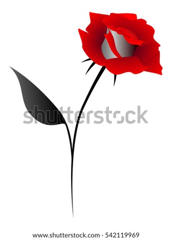 Red rose design element, on a white background. 