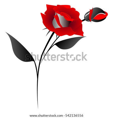 Design element, red roses.