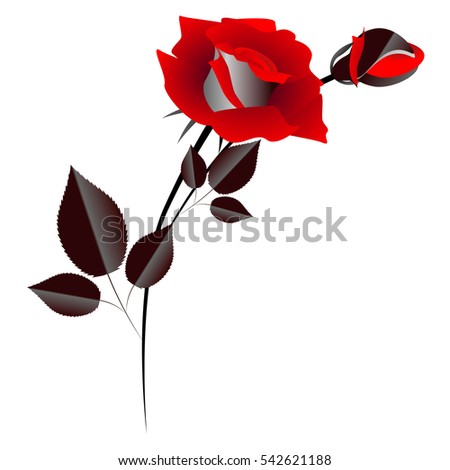 Design element, red rose with a bud.