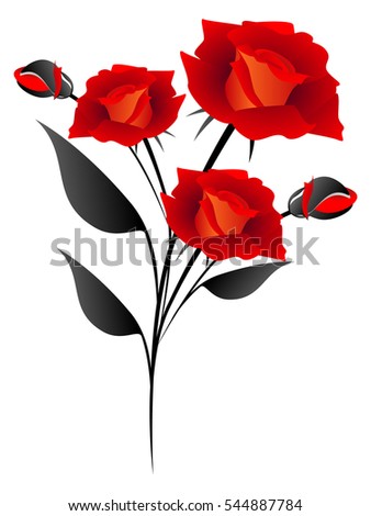The bouquet of red roses on a white background.