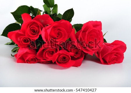 Closeup of bouquet of light red roses lying on white surface. Frontal shot of dark pink roses.  Copy space in lower part of horizontal photo.