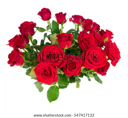 Bright red rose buds with green leaves close up isolated on white background