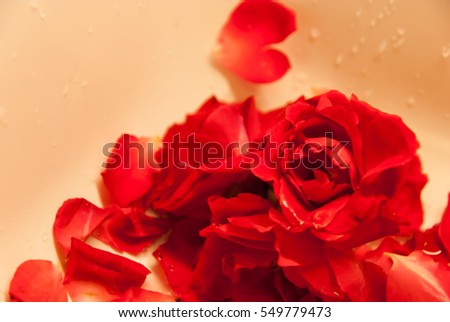 low key vintage style in warm light and shadow of blur white, red roses and red rose petals in bath decorated for special period. Romantic set up for Valentine Day,Honeymoon,Wedding Anniversary