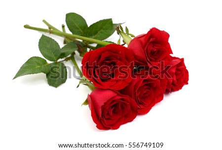 beautiful bouquet of rose flowers isolated on white background
