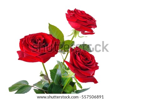 a bouquet of red roses on a white background