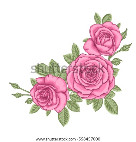 beautiful bouquet with three pink roses and leaves. Floral arrangement. design greeting card and invitation of the wedding, birthday, Valentine's Day, mother's day and other holiday