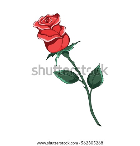 Rose isolated vector on white background. Object icon illustration. Hand draw doodle 3d. Happy Valentine's Day. Cloth design,print, wallpaper, wrapping, paper, card, holiday, birthday. Color art.Eps10