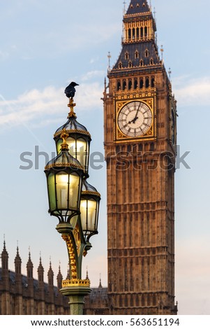 Raven on lampost at Houses of Parliament in early winter morning, London