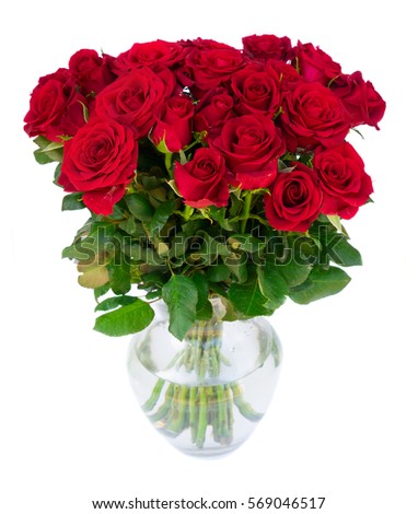 Bouquet of fresh dark red rose flowers buds with green leaves in glass vase isolated on white background