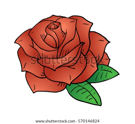 nice rose illustration