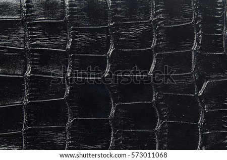Texture of crocodile skin. Black crocodile skin. Scales of a crocodile. Scale texture. close-up