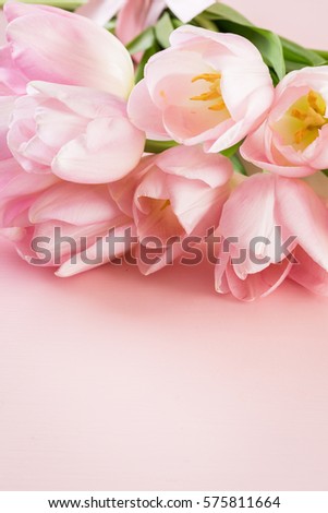 Light pink tulips on a pink background.