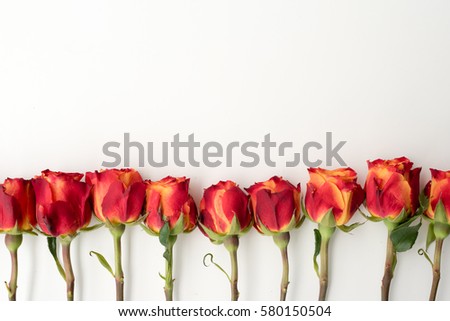 HIgh angle view of ten red and orange roses arranged in a row on white table - nature background
