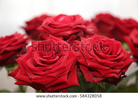 Bouquet from beautiful red roses.