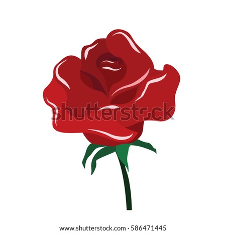 Vector of red rose