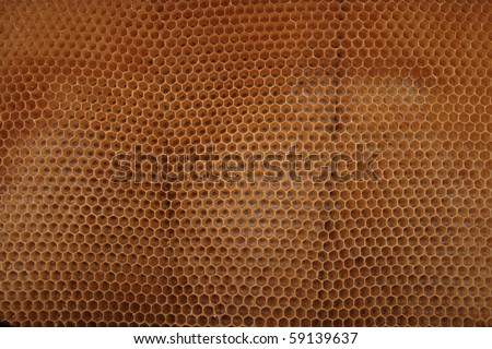 empty honey texture