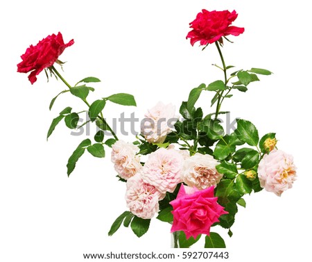 Bouquet of beautiful flowers of roses isolated on white background. Wedding card. Greeting. Summer. Spring. Flat lay, top view. Red, pink. Easter