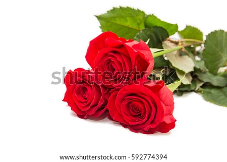 Bouquet of three red roses on a white background