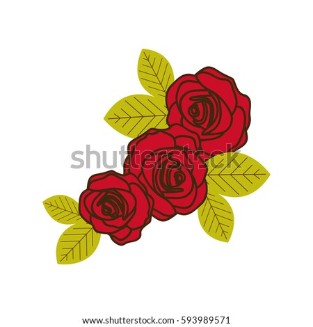 colorful silhouette with set of roses close up vector illustration