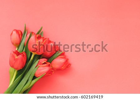 Bouquet of red tulips  with green leaves on red paper background. Top view, blank space