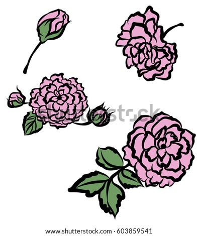 hand drawn pink rose doodle art style
