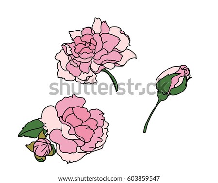 hand drawn pink rose doodle art style