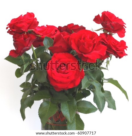 A bouquet of Red roses over white for card or postcard