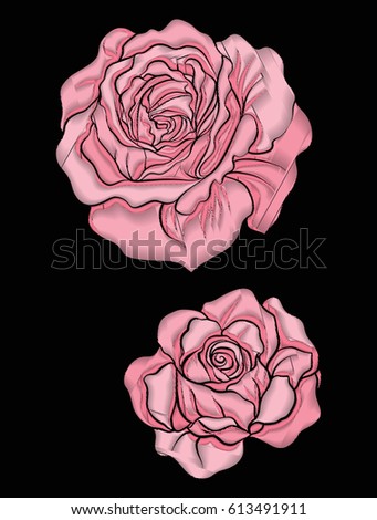 Rose flower for embroidery in botanical illustration style on a black background. Stock vector illustration. 