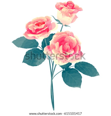 rose - birth flower vector illustration in watercolor paint textures