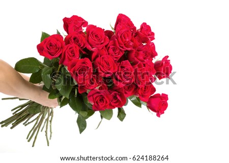 fresh red roses in hand on isolated white background, valentine concept