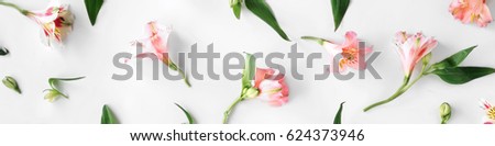 Flat lay floral pattern made of pink alstroemeria, leaves and petals on white background. top view