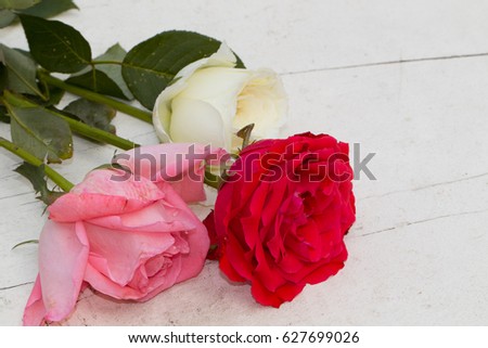 white, red and pink rose on white wooden background