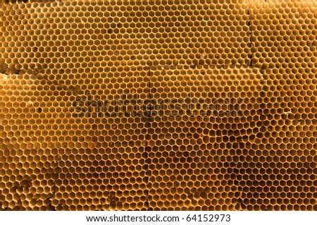 Broken honeycombs