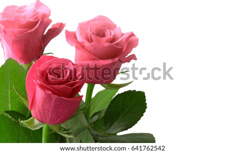 Bouquet of pink rose flowers isolated on white background