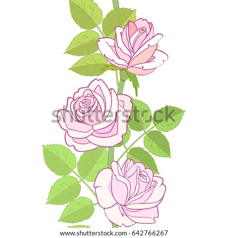 Rose with green leaves strip seamless pattern.
