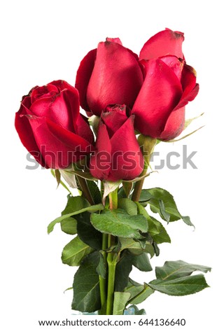 red roses bouquet in white background
