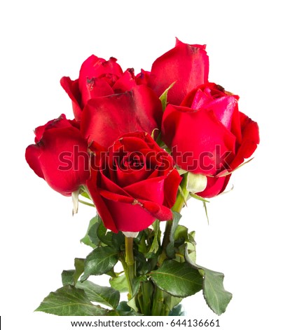 red roses bouquet in white background