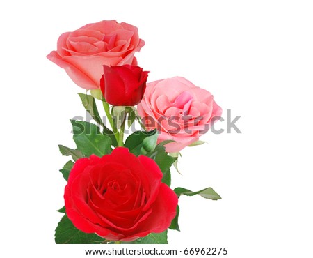 Assorted bouquet of roses